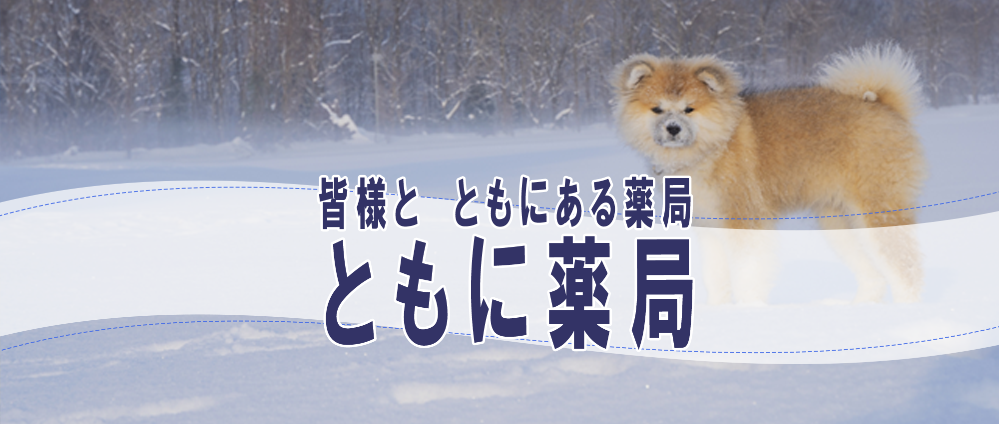 皆様と　ともにある薬局　ともに薬局